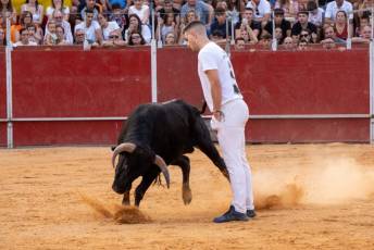 Fotogalería Concurso de recortes, saltos y quiebros en la plaza de toros de San Lorenzo 66 Concurso Recortes Saltos y Quiebros San Lorenzo - Héctor Criado