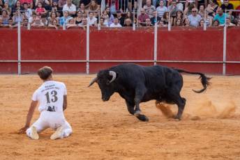 Fotogalería Concurso de recortes, saltos y quiebros en la plaza de toros de San Lorenzo 71 Concurso Recortes Saltos y Quiebros San Lorenzo - Héctor Criado