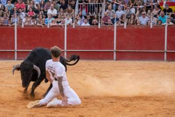Fotogalería Concurso de recortes, saltos y quiebros en la plaza de toros de San Lorenzo 72 Concurso Recortes Saltos y Quiebros San Lorenzo - Héctor Criado