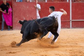 Fotogalería Concurso de recortes, saltos y quiebros en la plaza de toros de San Lorenzo 73 Concurso Recortes Saltos y Quiebros San Lorenzo - Héctor Criado