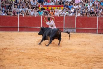 Fotogalería Concurso de recortes, saltos y quiebros en la plaza de toros de San Lorenzo 76 Concurso Recortes Saltos y Quiebros San Lorenzo - Héctor Criado