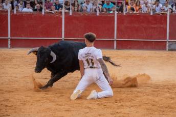 Fotogalería Concurso de recortes, saltos y quiebros en la plaza de toros de San Lorenzo 77 Concurso Recortes Saltos y Quiebros San Lorenzo - Héctor Criado