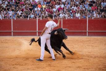 Fotogalería Concurso de recortes, saltos y quiebros en la plaza de toros de San Lorenzo 96 Concurso Recortes Saltos y Quiebros San Lorenzo - Héctor Criado