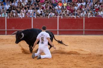 Fotogalería Concurso de recortes, saltos y quiebros en la plaza de toros de San Lorenzo 97 Concurso Recortes Saltos y Quiebros San Lorenzo - Héctor Criado