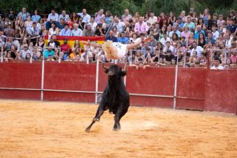 Fotogalería Concurso de recortes, saltos y quiebros en la plaza de toros de San Lorenzo 79 Concurso Recortes Saltos y Quiebros San Lorenzo - Héctor Criado