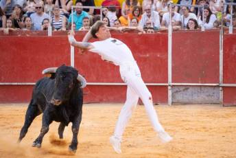 Fotogalería Concurso de recortes, saltos y quiebros en la plaza de toros de San Lorenzo 80 Concurso Recortes Saltos y Quiebros San Lorenzo - Héctor Criado