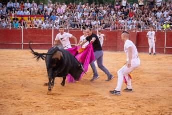 Fotogalería Concurso de recortes, saltos y quiebros en la plaza de toros de San Lorenzo 81 Concurso Recortes Saltos y Quiebros San Lorenzo - Héctor Criado