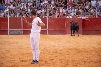 Fotogalería Concurso de recortes, saltos y quiebros en la plaza de toros de San Lorenzo 83 Concurso Recortes Saltos y Quiebros San Lorenzo - Héctor Criado