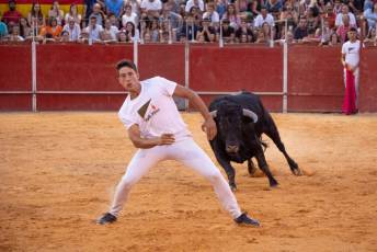 Fotogalería Concurso de recortes, saltos y quiebros en la plaza de toros de San Lorenzo 84 Concurso Recortes Saltos y Quiebros San Lorenzo - Héctor Criado