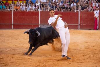 Fotogalería Concurso de recortes, saltos y quiebros en la plaza de toros de San Lorenzo 85 Concurso Recortes Saltos y Quiebros San Lorenzo - Héctor Criado