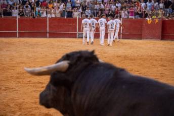 Fotogalería Concurso de recortes, saltos y quiebros en la plaza de toros de San Lorenzo 87 Concurso Recortes Saltos y Quiebros San Lorenzo - Héctor Criado