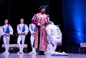 Fotogalería El Lago de los Cisnes, Noches Mágicas de La Granja en la Real Fábrica de Cristales 22 El Lago de los Cisnes Real Fábrica de Cristales La Granja - Héctor Criado