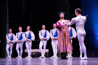 Fotogalería El Lago de los Cisnes, Noches Mágicas de La Granja en la Real Fábrica de Cristales 24 El Lago de los Cisnes Real Fábrica de Cristales La Granja - Héctor Criado