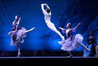 Fotogalería El Lago de los Cisnes, Noches Mágicas de La Granja en la Real Fábrica de Cristales 29 El Lago de los Cisnes Real Fábrica de Cristales La Granja - Héctor Criado