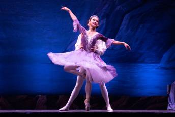 Fotogalería El Lago de los Cisnes, Noches Mágicas de La Granja en la Real Fábrica de Cristales 30 El Lago de los Cisnes Real Fábrica de Cristales La Granja - Héctor Criado