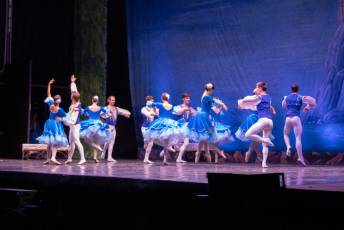 Fotogalería El Lago de los Cisnes, Noches Mágicas de La Granja en la Real Fábrica de Cristales 12 El Lago de los Cisnes Real Fábrica de Cristales La Granja - Héctor Criado