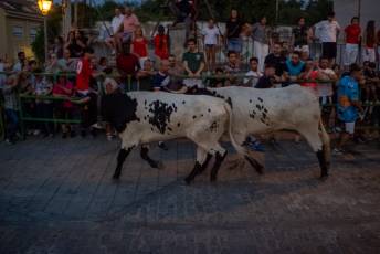 Fotogalería Encierro Nocturno en San Lorenzo 27 Encierro Nocturno San Lorenzo - Héctor Criado