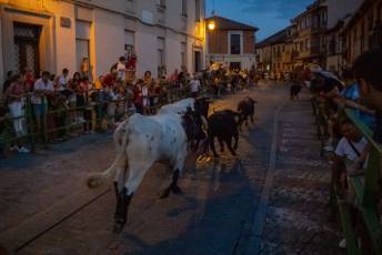 Fotogalería Encierro Nocturno en San Lorenzo 28 Encierro Nocturno San Lorenzo - Héctor Criado