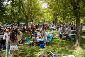 Fotogalería Judiada de las Fiestas de San Luis en La Granja 33 Judiada de las Fiestas de San Luis en La Granja - Héctor Criado