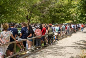 Fotogalería Judiada de las Fiestas de San Luis en La Granja 34 Judiada de las Fiestas de San Luis en La Granja - Héctor Criado