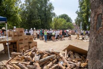 Fotogalería Judiada de las Fiestas de San Luis en La Granja 6 Judiada de las Fiestas de San Luis en La Granja - Héctor Criado