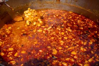 Fotogalería Judiada de las Fiestas de San Luis en La Granja 10 Judiada de las Fiestas de San Luis en La Granja - Héctor Criado