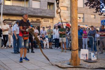 Fotogalería Exaltación de la Santa Cruz del Cristo del Mercado, Bajada del Mayo 16 Exaltación de la Santa Cruz del Cristo del Mercado Bajada del Mayo - Héctor Criado