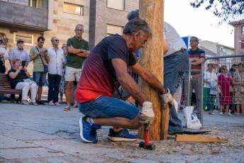 Fotogalería Exaltación de la Santa Cruz del Cristo del Mercado, Bajada del Mayo 26 Exaltación de la Santa Cruz del Cristo del Mercado Bajada del Mayo - Héctor Criado