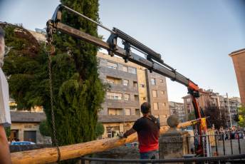 Fotogalería Exaltación de la Santa Cruz del Cristo del Mercado, Bajada del Mayo 36 Exaltación de la Santa Cruz del Cristo del Mercado Bajada del Mayo - Héctor Criado