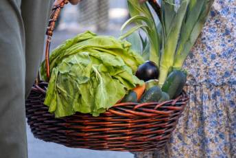 Fotogalería Ofrenda de Frutos a la Virgen de la Fuencisla 12 Ofrenda de Frutos a la Virgen de la Fuencisla - Héctor Criado