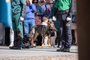 Fotogalería Acto y Desfile de la Guardia Civil por el 12 de Octubre 23 Acto Guardia Civil por el 12 de Octubre - Héctor Criado