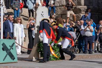 Fotogalería Acto y Desfile de la Guardia Civil por el 12 de Octubre 55 Acto Guardia Civil por el 12 de Octubre - Héctor Criado
