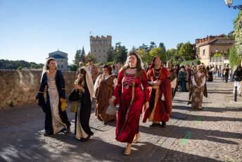 Fotogalería Recreación Proclamación de la Reina Isabel 25 Recreación Proclamación Reina Isabel - Héctor Criado