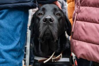Fotogalería Acto del Día Internacional de las personas con discapacidad 8 Acto del Día Internacional de las personas con discapacidad - Héctor Criado