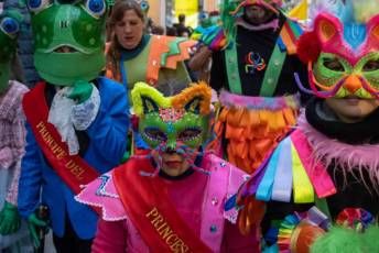 Fotogalería Desfile Infantil de Carnaval Segovia 11 Desfile Infantil de Carnaval - Héctor Criado