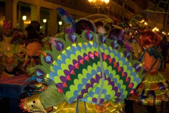 Fotogalería Desfile de Carnaval en Segovia 2026 15 Desfile de Carnaval - Héctor Criado