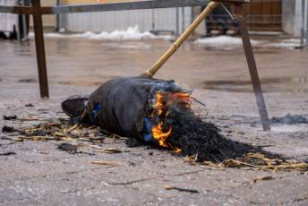 Fotogalería Fiestas de Santa Águeda en Zamarramala 69 Santa Águeda Zamarramala - Héctor Criado