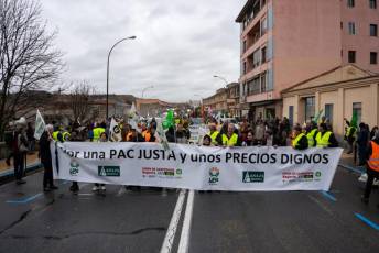 Fotogalería Tractorada en Segovia 16 Tractorada Segovia - Héctor Criado