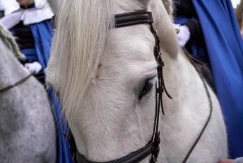 Fotogalería Anuncio a Caballo y Pregón de Semana Santa 2 Anuncio Pregón y Pregón de Semana Santa- Héctor Criado