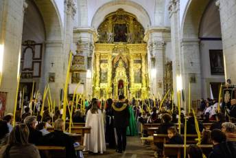 Fotogalería Bendición de Palmas, Misa y Procesión de Domingo de Ramos 2 Bendición de Palmas, Misa y Procesión de Domingo de Ramos - Héctor Criado