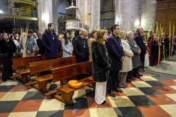 Fotogalería Bendición de Palmas, Misa y Procesión de Domingo de Ramos 15 Bendición de Palmas, Misa y Procesión de Domingo de Ramos - Héctor Criado