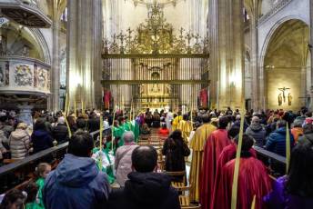 Fotogalería Bendición de Palmas, Misa y Procesión de Domingo de Ramos 16 Bendición de Palmas, Misa y Procesión de Domingo de Ramos - Héctor Criado