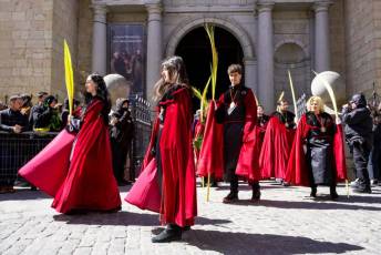 Fotogalería Bendición de Palmas, Misa y Procesión de Domingo de Ramos 23 Bendición de Palmas, Misa y Procesión de Domingo de Ramos - Héctor Criado