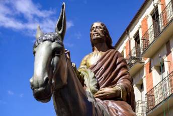 Fotogalería Bendición de Palmas, Misa y Procesión de Domingo de Ramos 38 Bendición de Palmas, Misa y Procesión de Domingo de Ramos - Héctor Criado