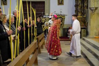 Fotogalería Bendición de Palmas, Misa y Procesión de Domingo de Ramos 6 Bendición de Palmas, Misa y Procesión de Domingo de Ramos - Héctor Criado