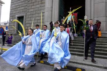 Fotogalería Bendición de Palmas, Misa y Procesión de Domingo de Ramos 9 Bendición de Palmas, Misa y Procesión de Domingo de Ramos - Héctor Criado