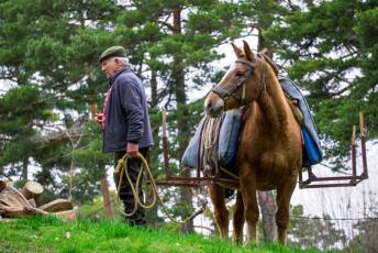Fotogalería XXVII Fiesta de los Gabarreros en El Espinar 2 Fiesta Gabarreros 2026 - Héctor Criado