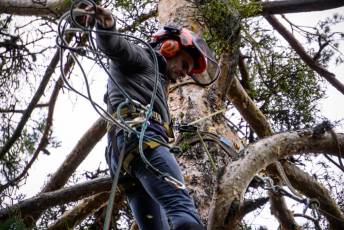 Fotogalería XXVII Fiesta de los Gabarreros en El Espinar 19 Fiesta Gabarreros 2026 - Héctor Criado