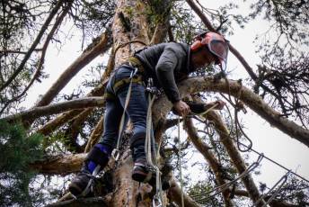 Fotogalería XXVII Fiesta de los Gabarreros en El Espinar 20 Fiesta Gabarreros 2026 - Héctor Criado