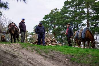 Fotogalería XXVII Fiesta de los Gabarreros en El Espinar 3 timthumb.php?src=https%3A%2F%2Feladelantado.com%2Fwp content%2Fuploads%2F2026%2F03%2FFiesta Gabarreros 2026 Hector Criado 2